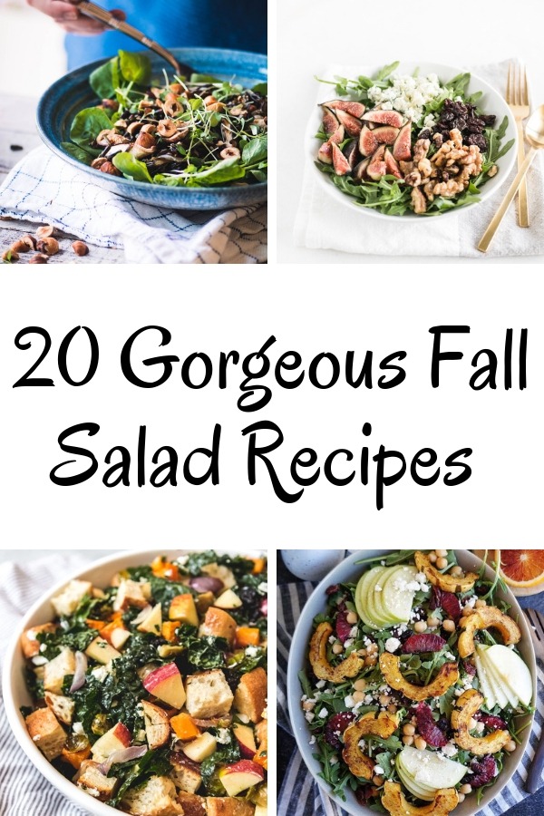 20 fall salad recipes collage