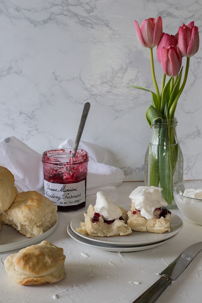 two lemonade scones on white plate with jam and cream, red tulips in vase in background and pot of raspberry jam to left