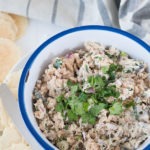 salmon dip pinterest graphic