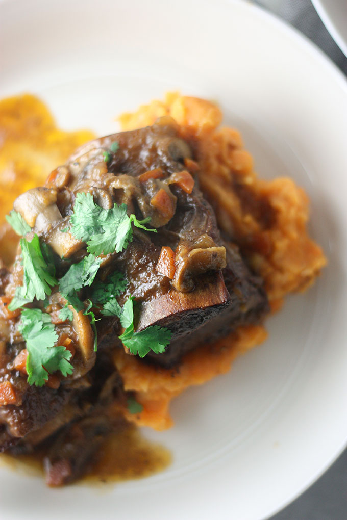 close up of one bourbon rib on mash sweet potato, on a white plate topped with cilantro